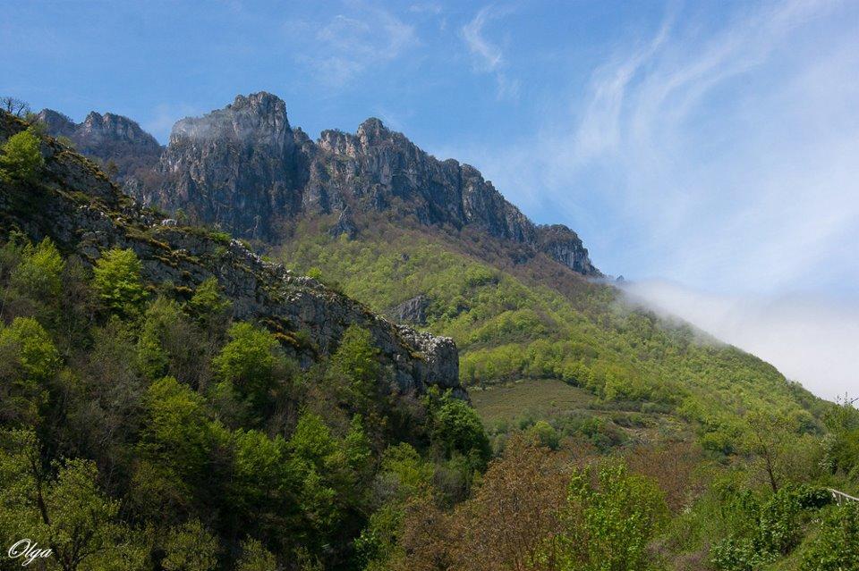 Apartamentos Rurales Casa Marcelo Veigas Εξωτερικό φωτογραφία