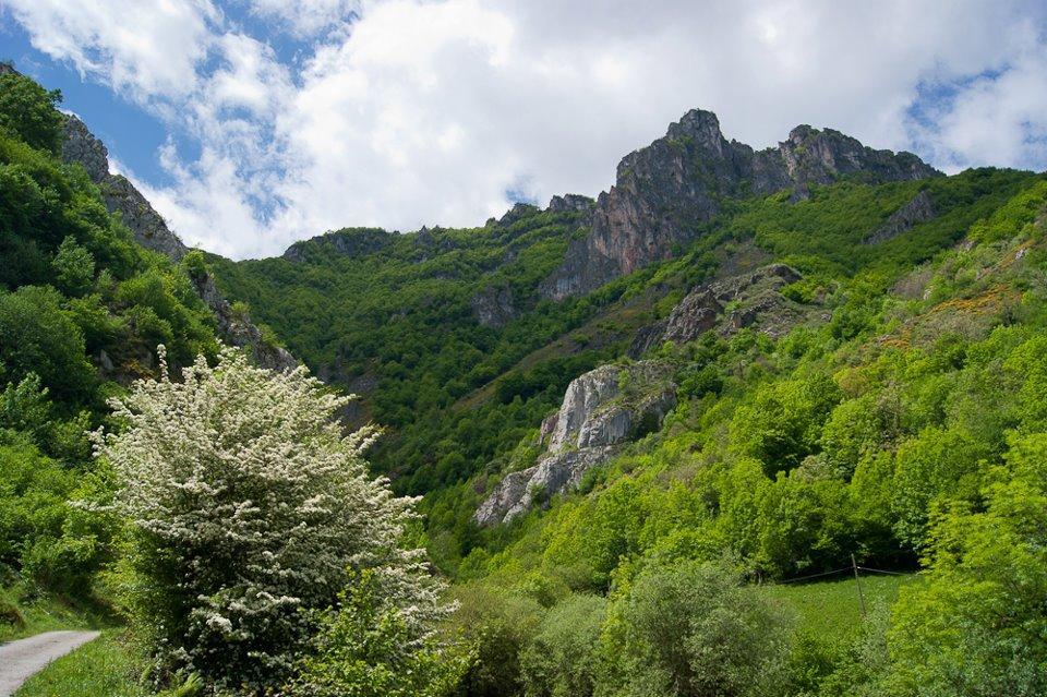 Apartamentos Rurales Casa Marcelo Veigas Εξωτερικό φωτογραφία